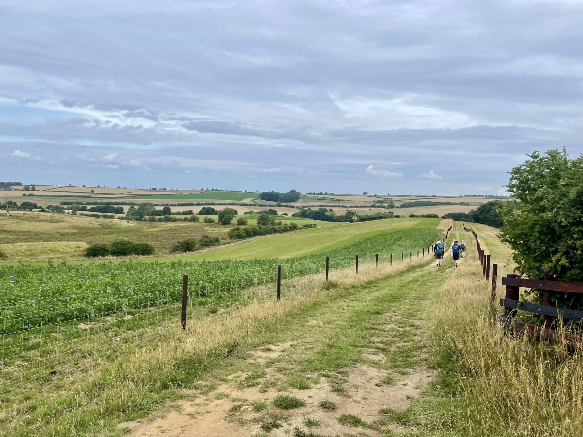 Roman Road